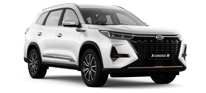 X-Cross 8