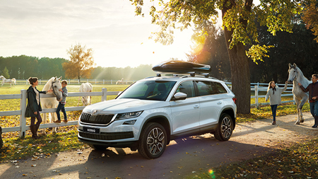 ŠKODA KODIAQ в кредит от 7,9%!