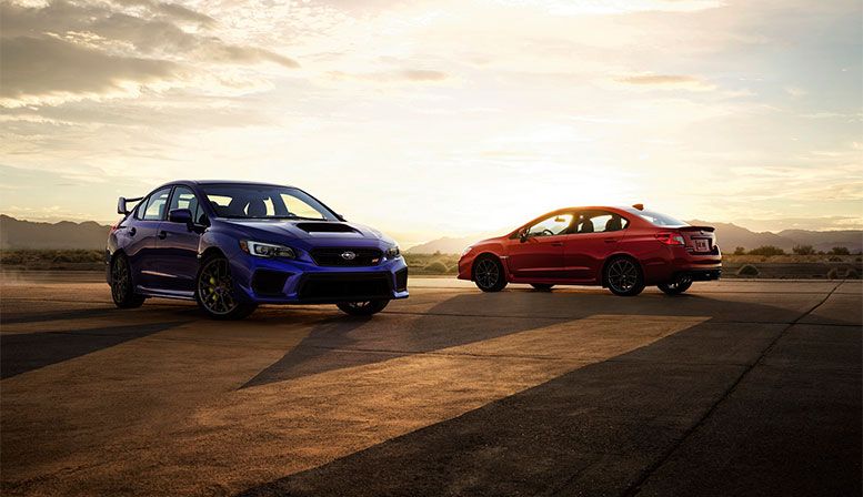 Программа лояльности I'm Subarist
